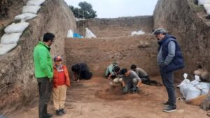 کشف دانه برنج سه‌هزارساله در کاوش‌های باستان‌شناسی آمل